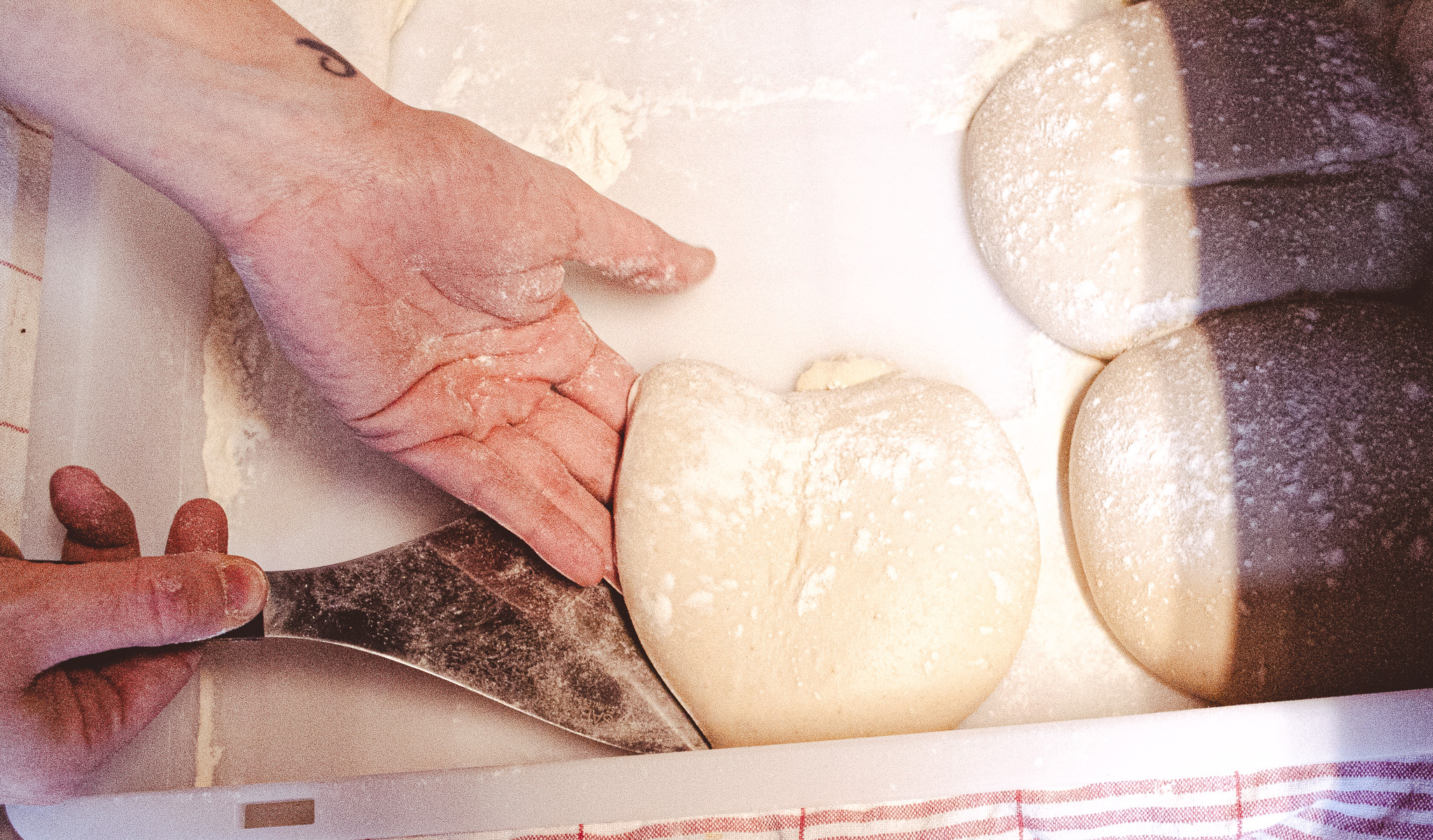 SOTTO_Panetti_dough.jpg